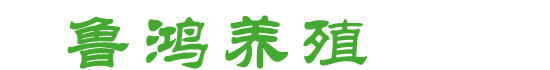 網站Logo